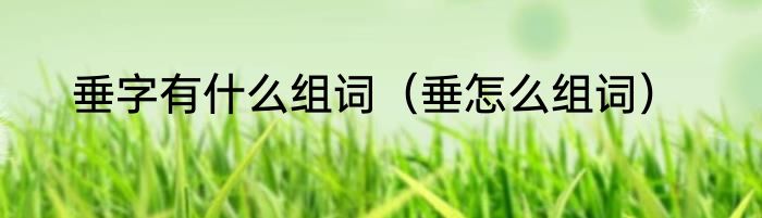 垂字有什么组词（垂怎么组词）