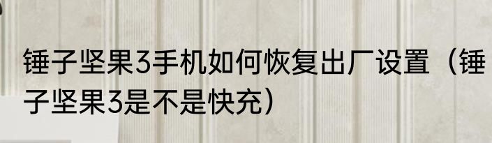 锤子坚果3手机如何恢复出厂设置（锤子坚果3是不是快充）