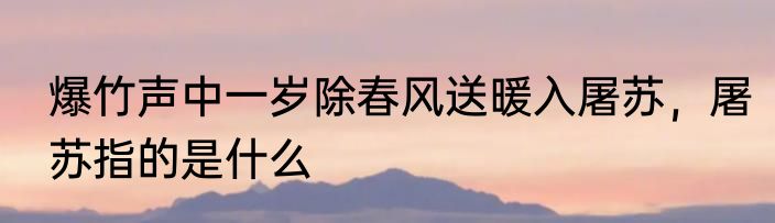 爆竹声中一岁除春风送暖入屠苏，屠苏指的是什么