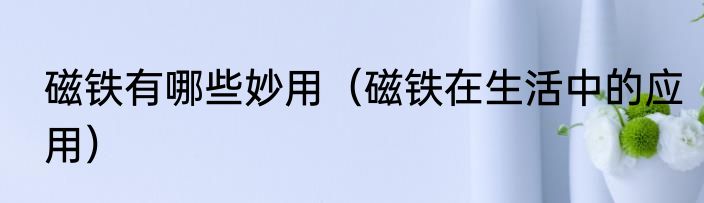 磁铁有哪些妙用（磁铁在生活中的应用）
