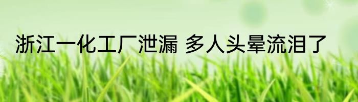 浙江一化工厂泄漏 多人头晕流泪了