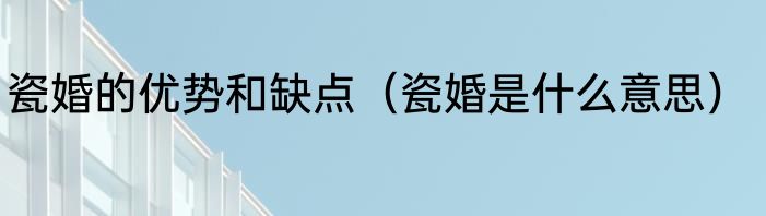 瓷婚的优势和缺点（瓷婚是什么意思）