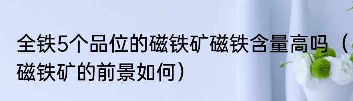 全铁5个品位的磁铁矿磁铁含量高吗（磁铁矿的前景如何）