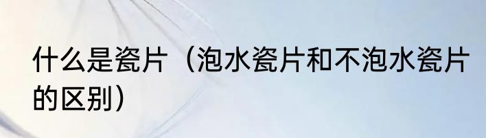 什么是瓷片（泡水瓷片和不泡水瓷片的区别）