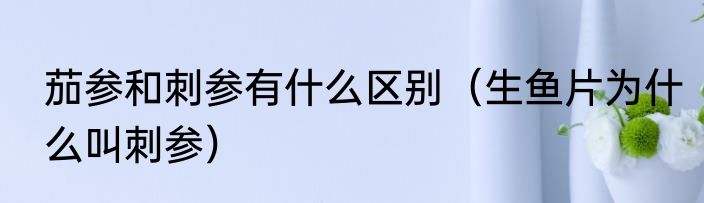 茄参和刺参有什么区别（生鱼片为什么叫刺参）