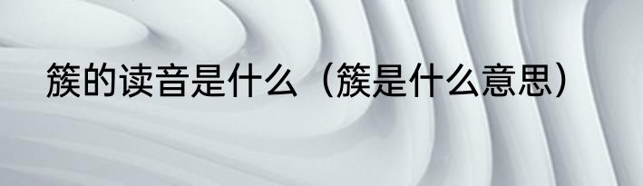 簇的读音是什么（簇是什么意思）