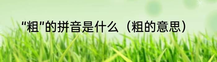 “粗”的拼音是什么（粗的意思）