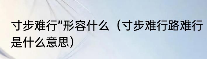 寸步难行”形容什么（寸步难行路难行是什么意思）