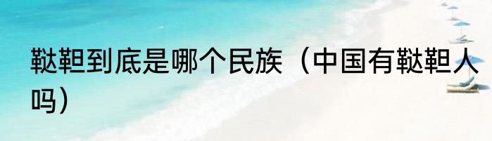 鞑靼到底是哪个民族（中国有鞑靼人吗）