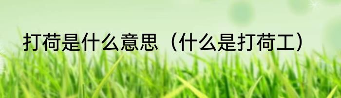 打荷是什么意思（什么是打荷工）