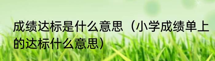 成绩达标是什么意思（小学成绩单上的达标什么意思）