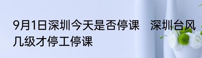 9月1日深圳今天是否停课   深圳台风几级才停工停课