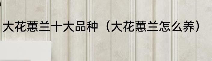 大花蕙兰十大品种（大花蕙兰怎么养）