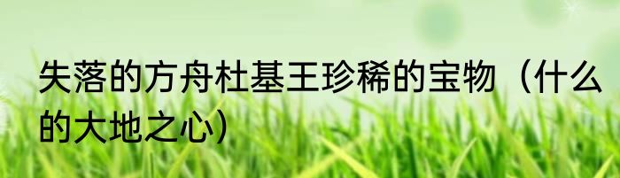 失落的方舟杜基王珍稀的宝物（什么的大地之心）