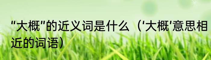 “大概”的近义词是什么（‘大概’意思相近的词语）