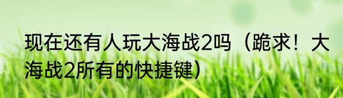 现在还有人玩大海战2吗（跪求！大海战2所有的快捷键）