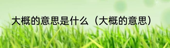 大概的意思是什么（大概的意思）
