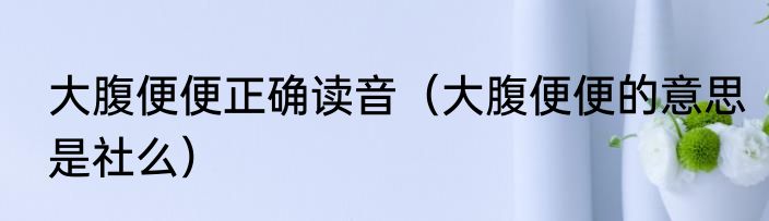 大腹便便正确读音（大腹便便的意思是社么）