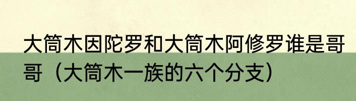 大筒木因陀罗和大筒木阿修罗谁是哥哥（大筒木一族的六个分支）