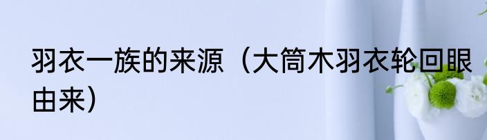 羽衣一族的来源（大筒木羽衣轮回眼由来）