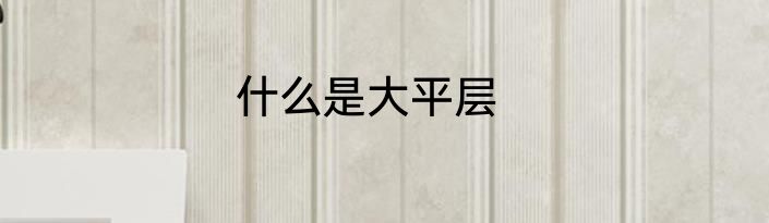 什么是大平层