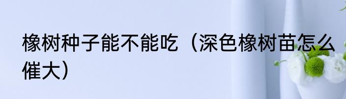 橡树种子能不能吃（深色橡树苗怎么催大）