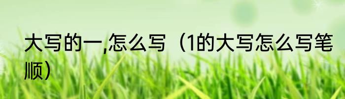 大写的一,怎么写（1的大写怎么写笔顺）