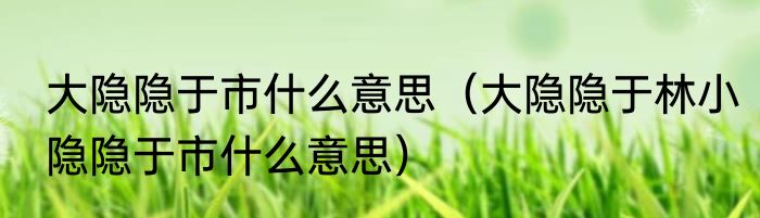 大隐隐于市什么意思（大隐隐于林小隐隐于市什么意思）