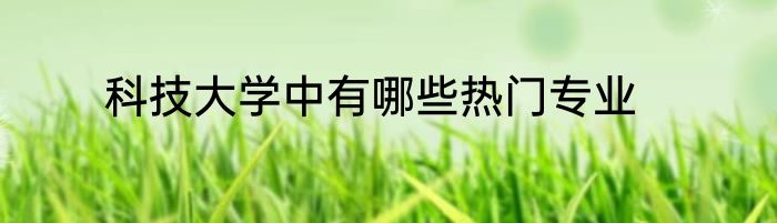 科技大学中有哪些热门专业