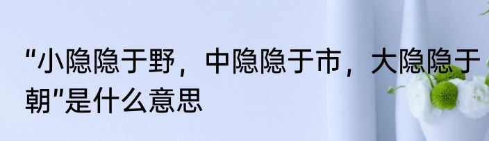 “小隐隐于野，中隐隐于市，大隐隐于朝”是什么意思