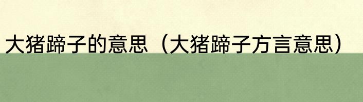 大猪蹄子的意思（大猪蹄子方言意思）