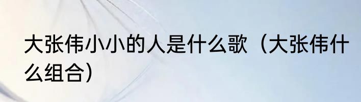 大张伟小小的人是什么歌（大张伟什么组合）