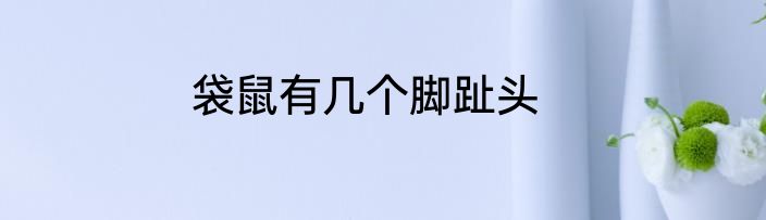 袋鼠有几个脚趾头