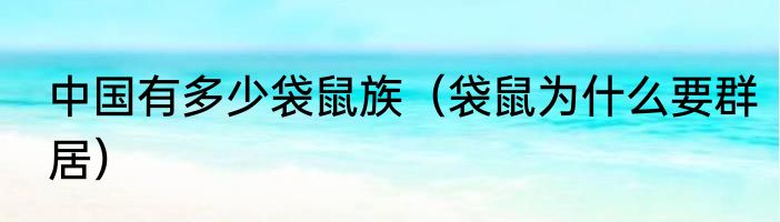 中国有多少袋鼠族（袋鼠为什么要群居）
