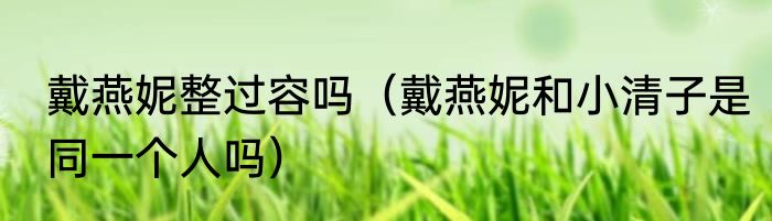 戴燕妮整过容吗（戴燕妮和小清子是同一个人吗）