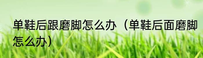 单鞋后跟磨脚怎么办（单鞋后面磨脚怎么办）