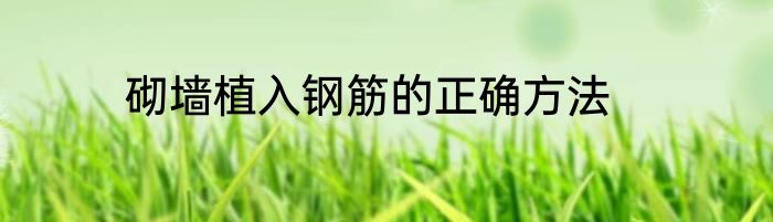 砌墙植入钢筋的正确方法
