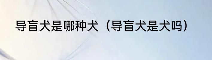 导盲犬是哪种犬（导盲犬是犬吗）