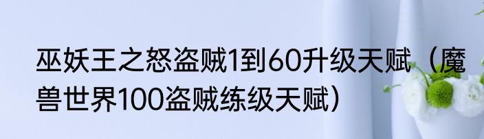 巫妖王之怒盗贼1到60升级天赋（魔兽世界100盗贼练级天赋）