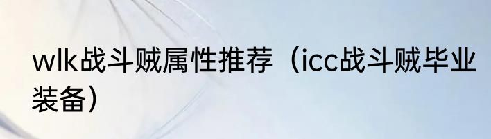 wlk战斗贼属性推荐（icc战斗贼毕业装备）