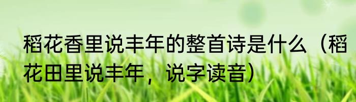 稻花香里说丰年的整首诗是什么（稻花田里说丰年，说字读音）
