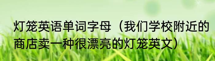 灯笼英语单词字母（我们学校附近的商店卖一种很漂亮的灯笼英文）