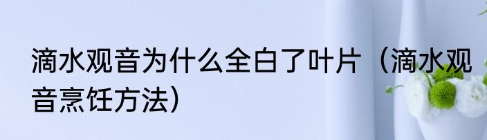 滴水观音为什么全白了叶片（滴水观音烹饪方法）