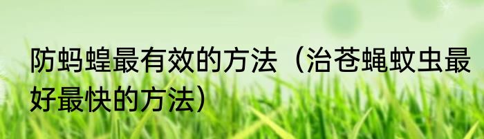 防蚂蝗最有效的方法（治苍蝇蚊虫最好最快的方法）