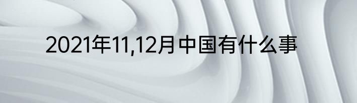 2021年11,12月中国有什么事