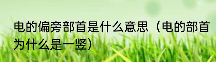 电的偏旁部首是什么意思（电的部首为什么是一竖）
