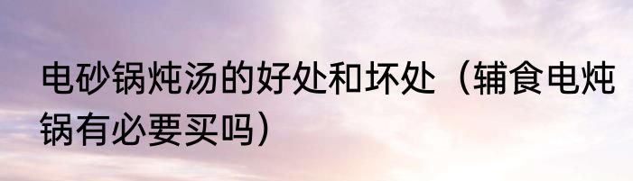 电砂锅炖汤的好处和坏处（辅食电炖锅有必要买吗）
