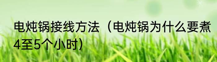 电炖锅接线方法（电炖锅为什么要煮4至5个小时）