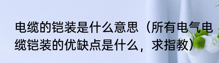 电缆的铠装是什么意思（所有电气电缆铠装的优缺点是什么，求指教）