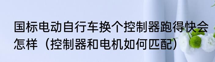 国标电动自行车换个控制器跑得快会怎样（控制器和电机如何匹配）